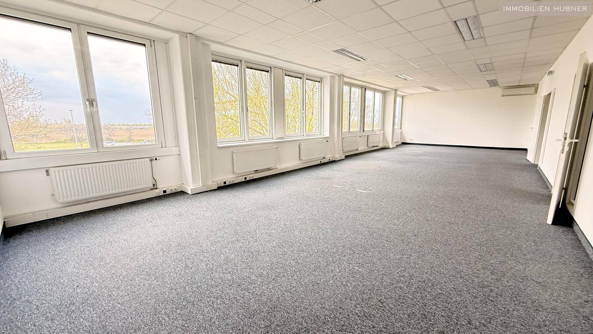 Helles und weitläufiges Büro mit Teppichboden und zahlreichen Fenstern, bietet viel Tageslicht.