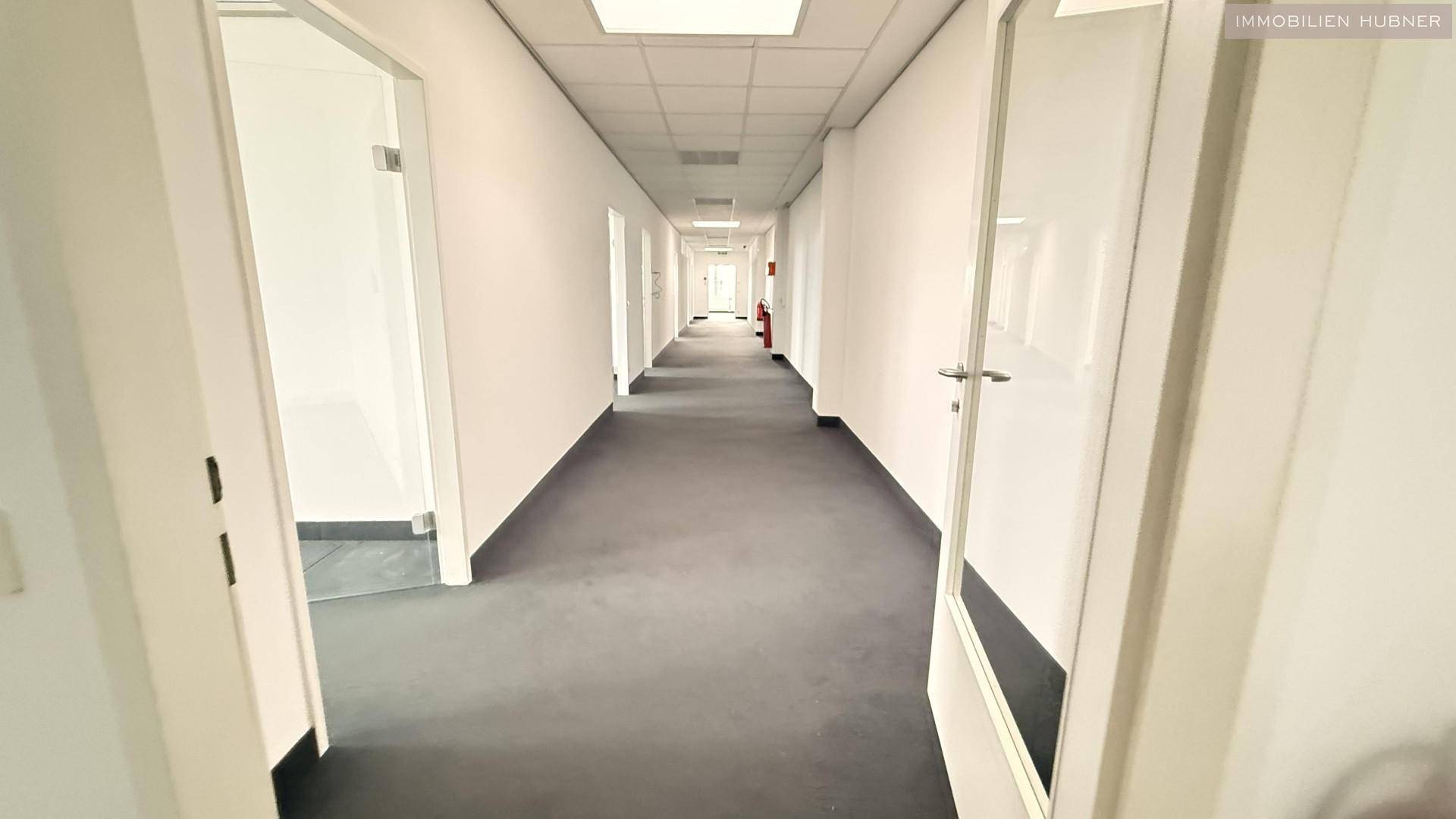 Langer, heller Flur mit Teppichboden und mehreren Türen, der verschiedene Büroräume miteinander verbindet.
