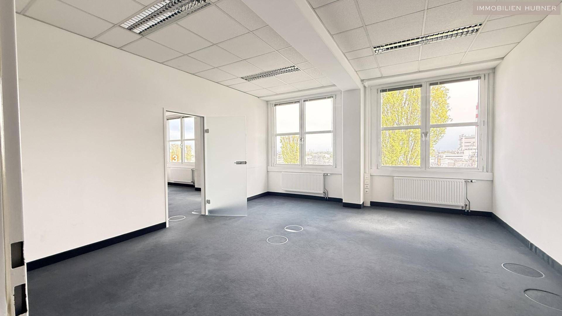 Großes, helles Büro mit Teppichboden und mehreren Fenstern, die eine offene und einladende Arbeitsumgebung schaffen.