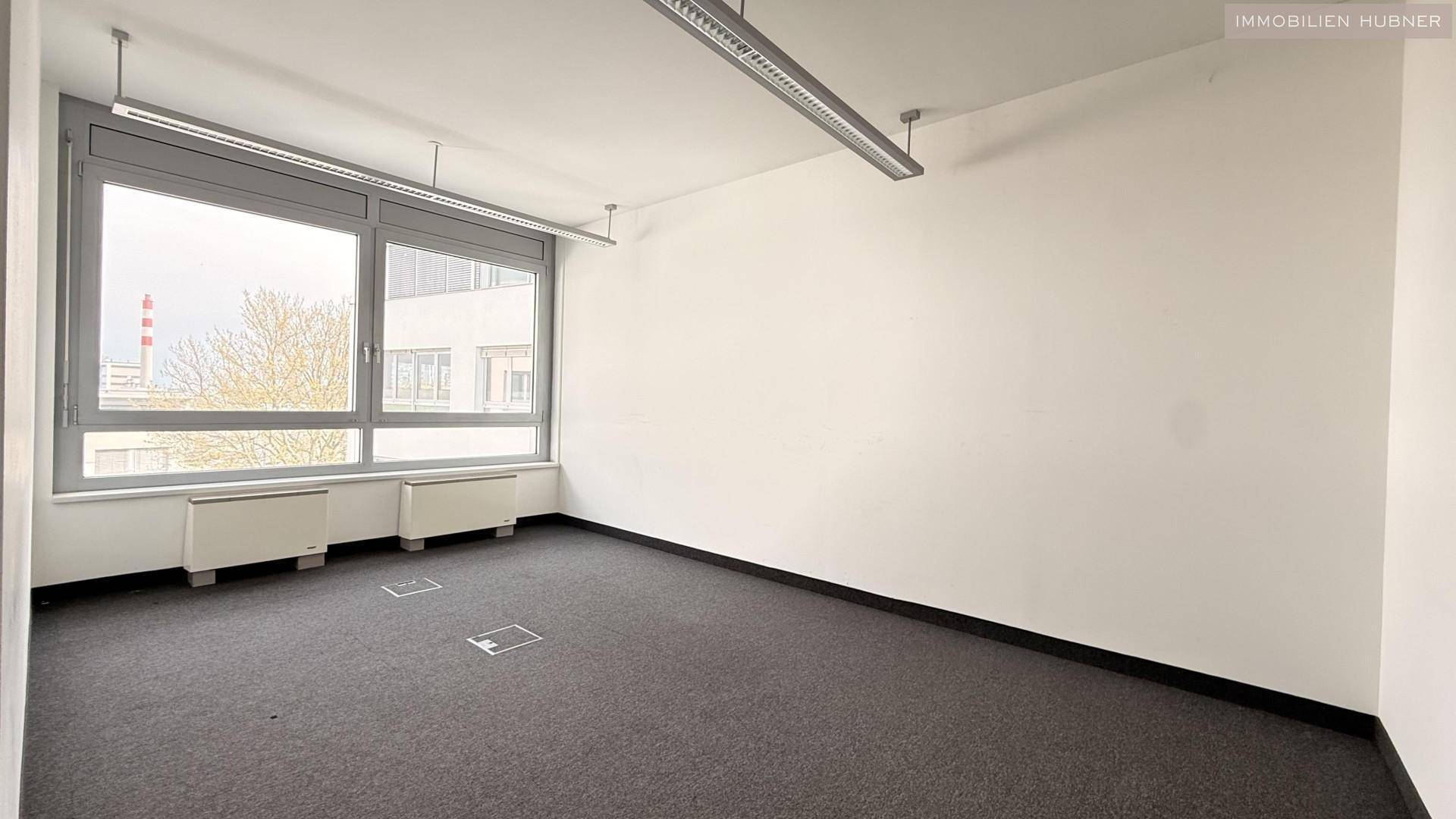 Heller Büroraum mit Teppichboden, großen Fenstern und Blick nach draußen, ideal für konzentriertes Arbeiten.