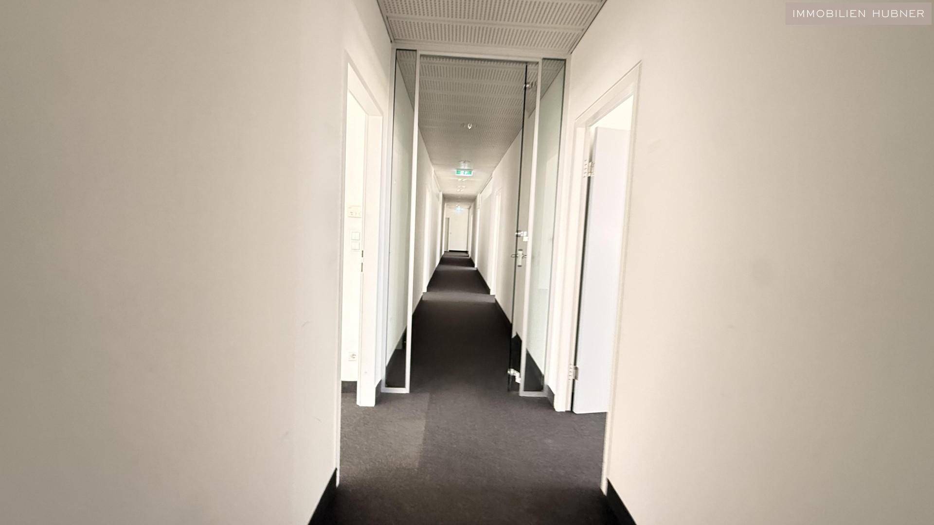 Langer, heller Flur mit Teppichboden und Türen zu verschiedenen Büroräumen, bietet gute Orientierung.