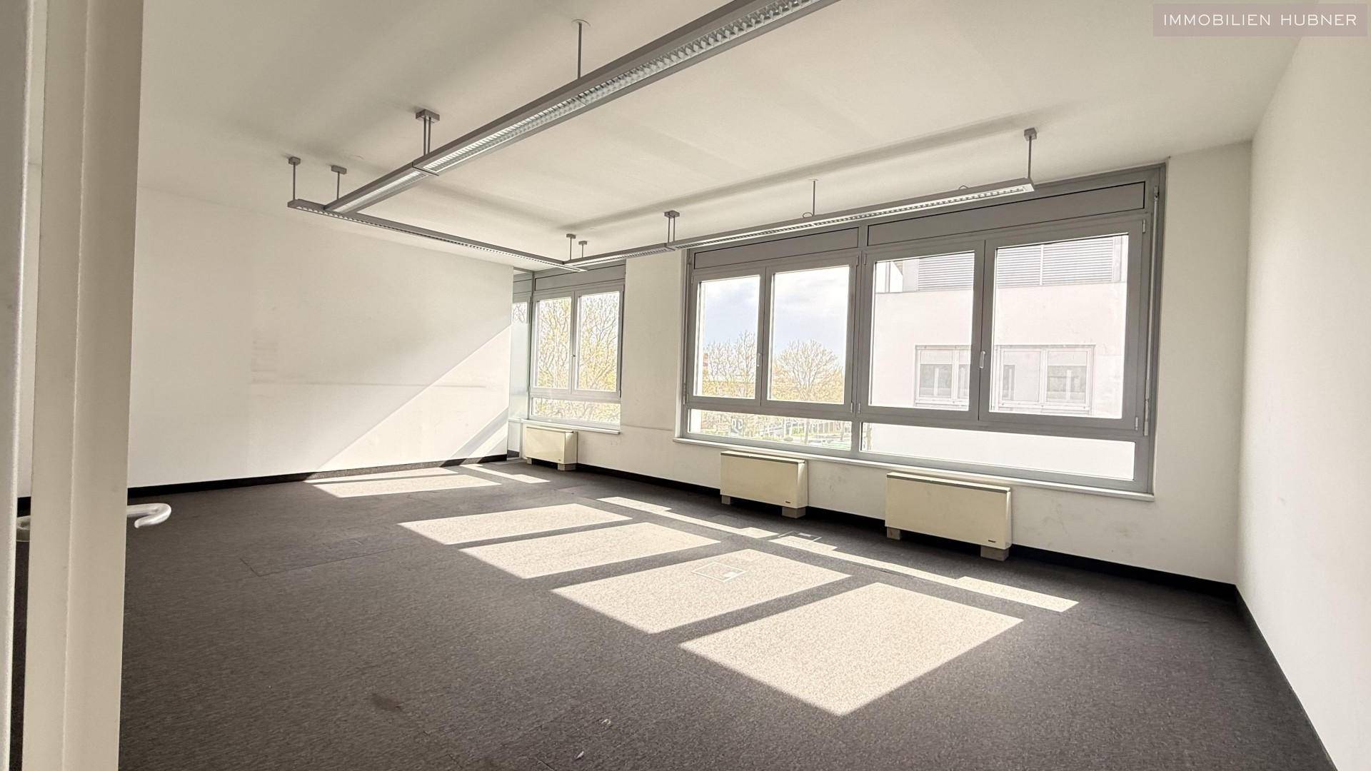 Geräumiger Büroraum mit Teppichboden, großen Fenstern und natürlicher Beleuchtung, bietet eine angenehme Arbeitsatmosphäre.