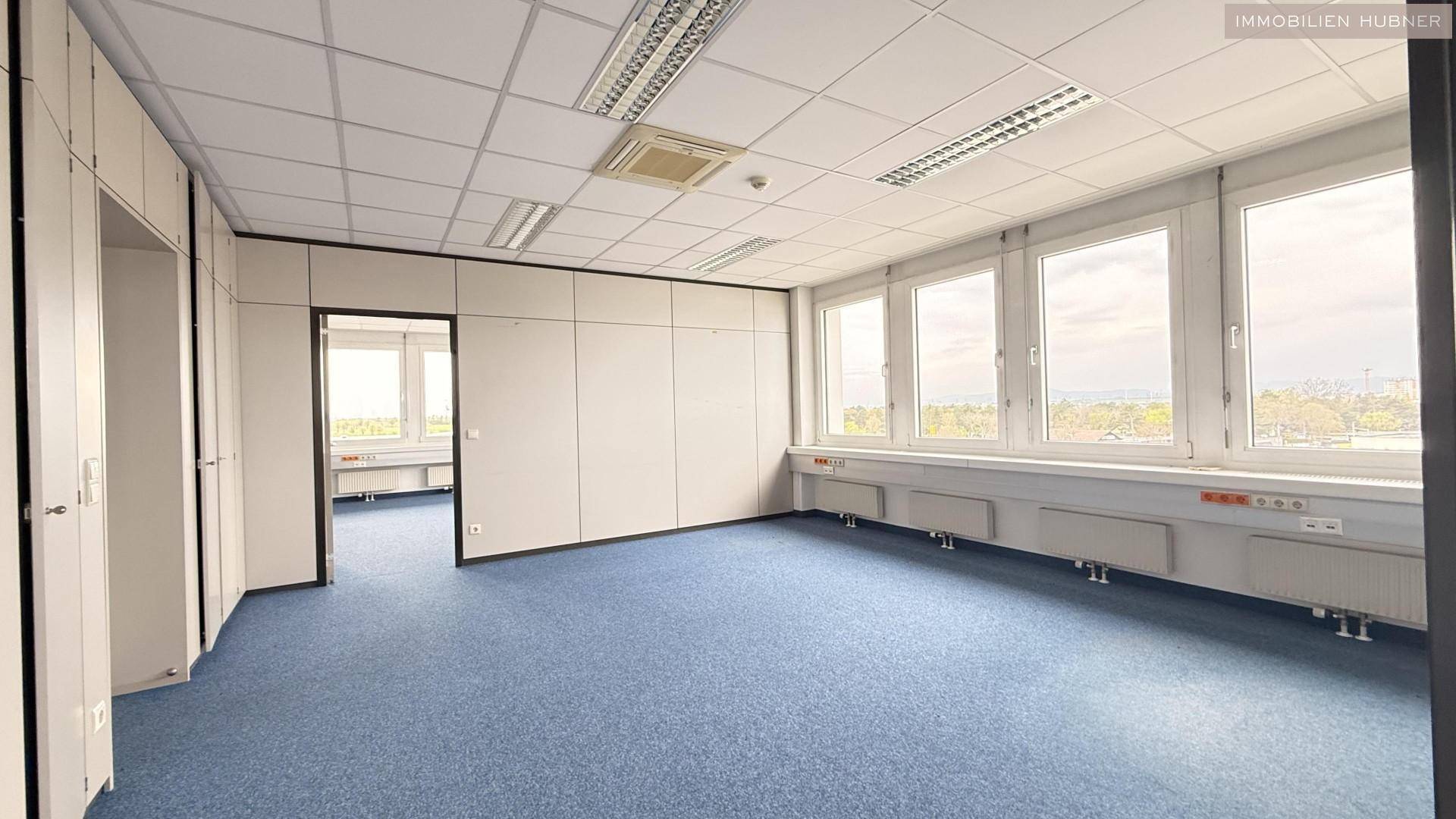 Helles Büro mit blauer Teppichboden, vielen Fenstern und Blick auf die Umgebung.