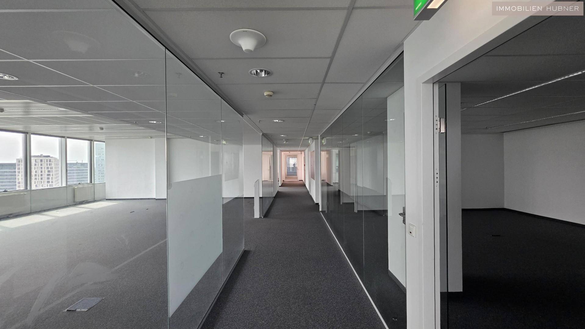 Langer Büroflur mit Glaswänden und Teppichboden, der zu weiteren Büroräumen führt.