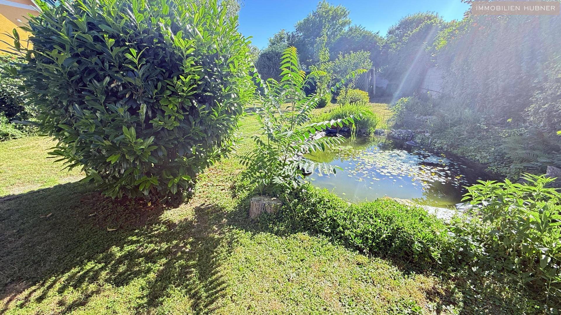 Idyllischer Gartenbereich mit einem kleinen Teich, umgeben von üppigem Grün und Sträuchern.
