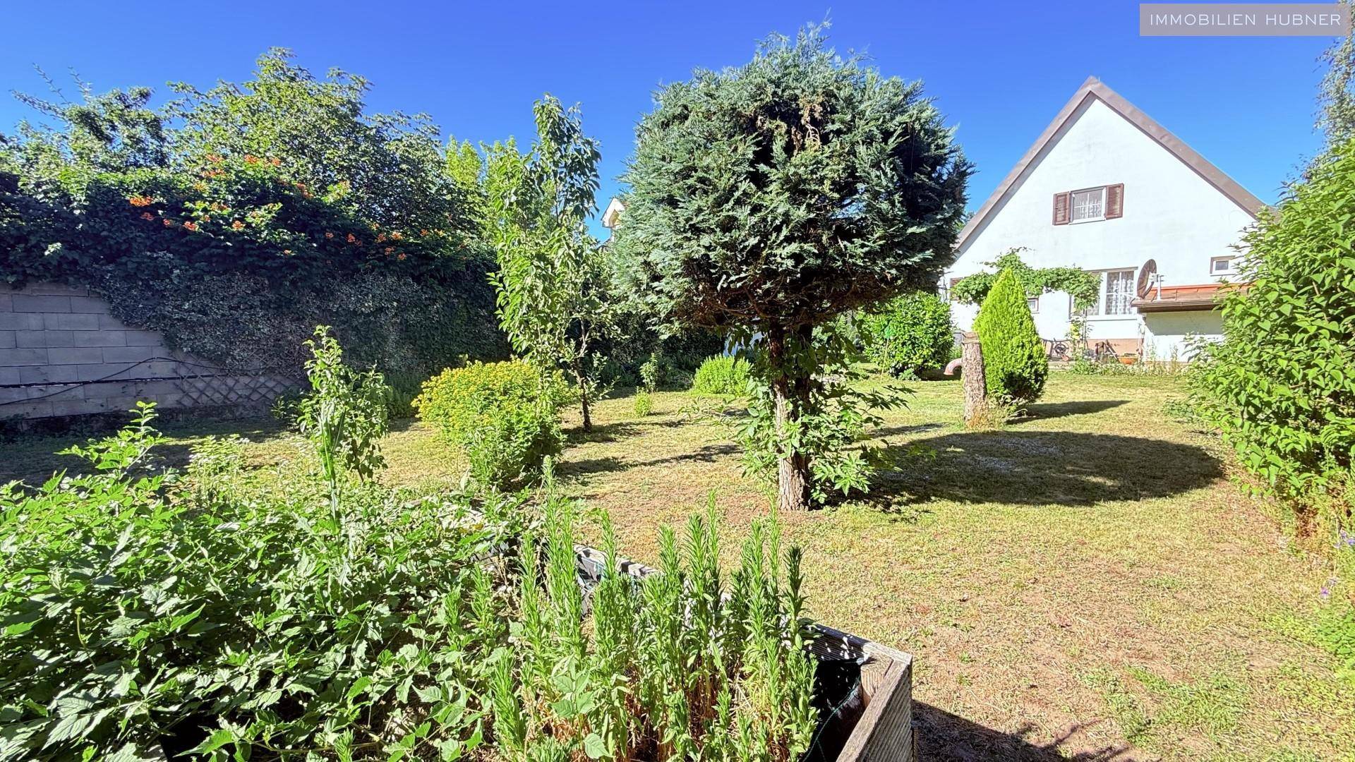 Weitläufiger Garten mit Rasenfläche, verschiedenen Pflanzen und Blick auf die Hausfassade.
