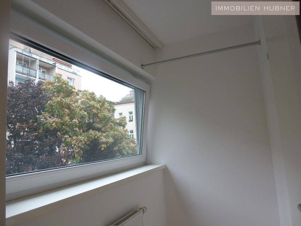Fenster mit Blick auf grüne Bäume und die umliegenden Gebäude der Nachbarschaft.
