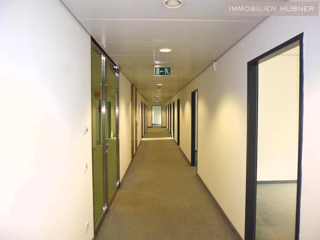 Langer Bürogang mit Teppichboden, vielen Türen und Deckenbeleuchtung, führt in die Tiefe des Gebäudes.