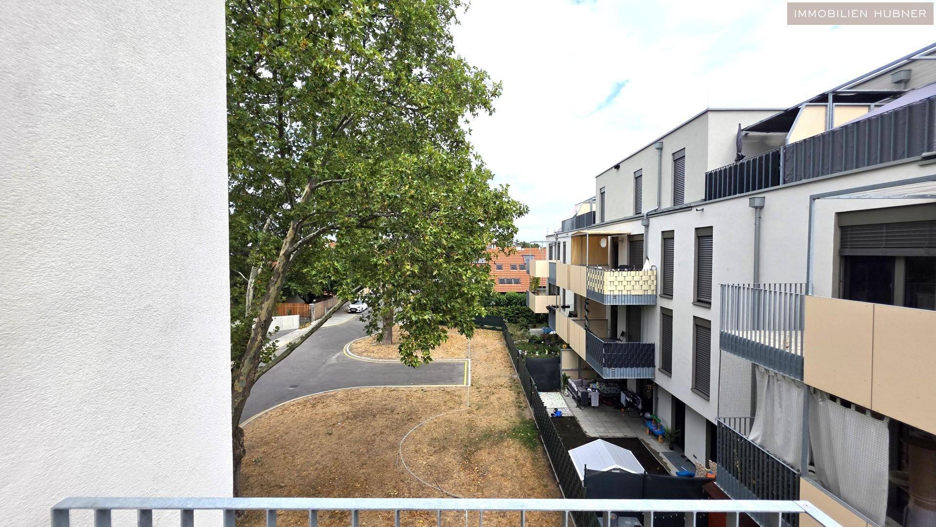 Blick vom Balkon auf eine ruhige Straße mit altem Baumbestand und umliegende Wohngebäude.