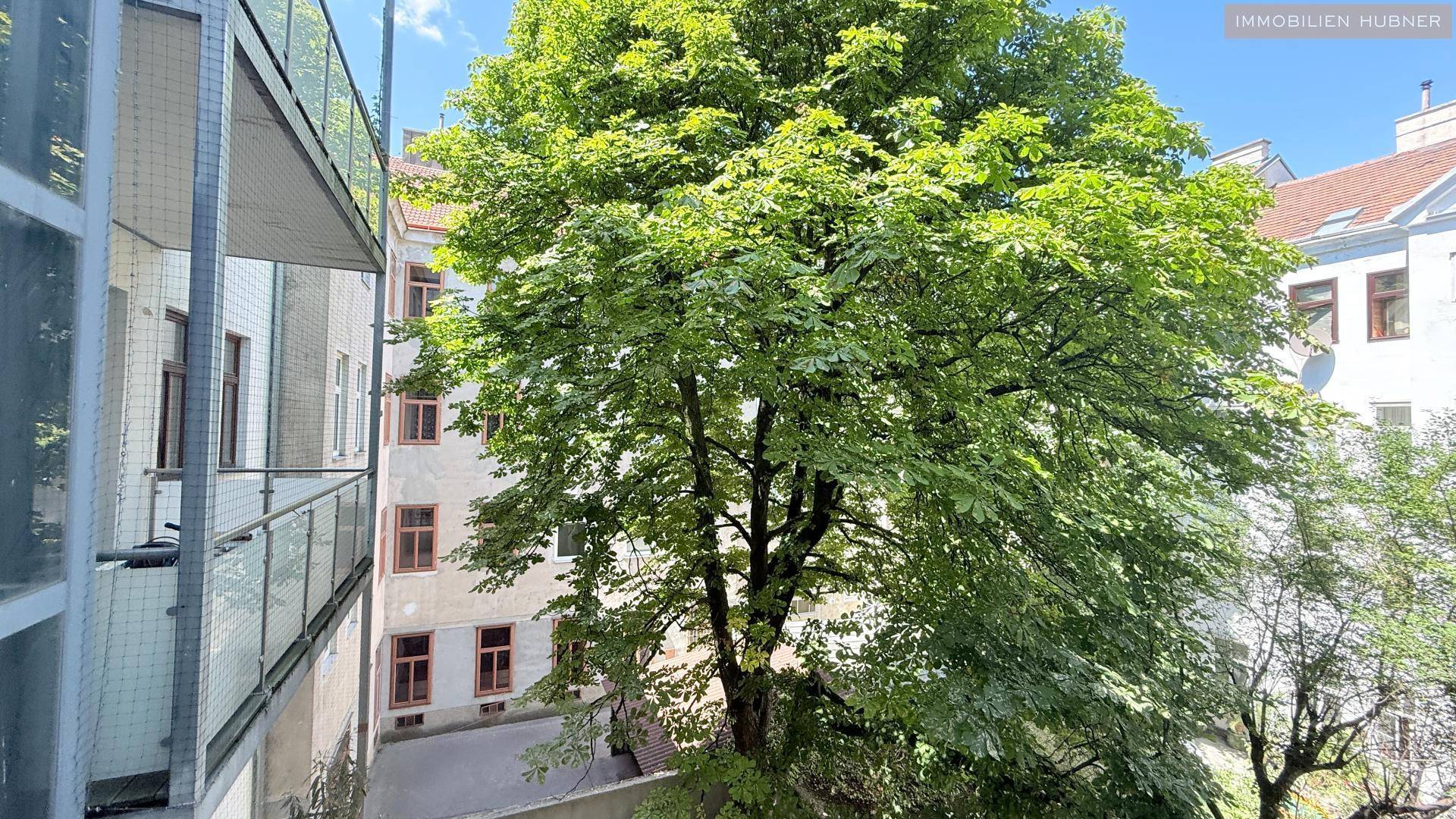 Blick aus dem Fenster auf einen großen Baum und den Innenhof mit umliegenden Gebäuden.