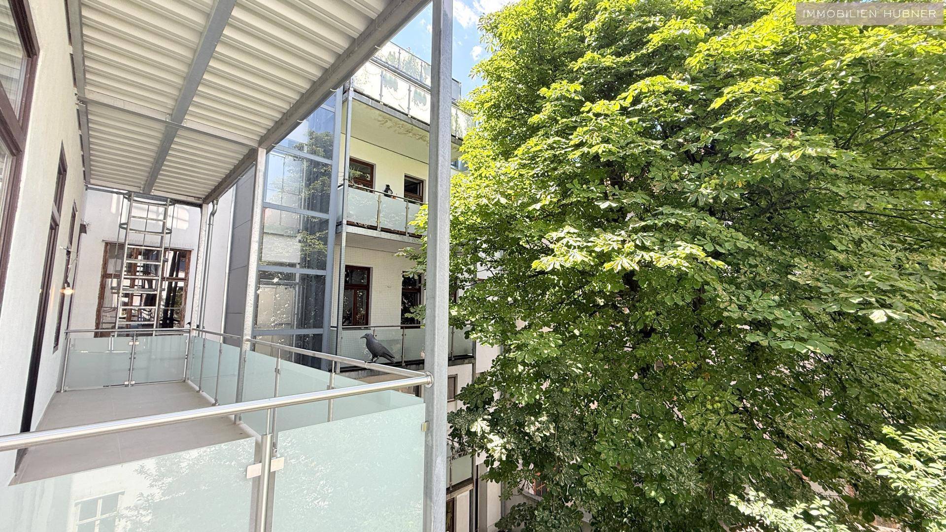 Blick vom Balkon auf einen großen Baum, den Glasaufzug und weitere Balkone des Gebäudes.
