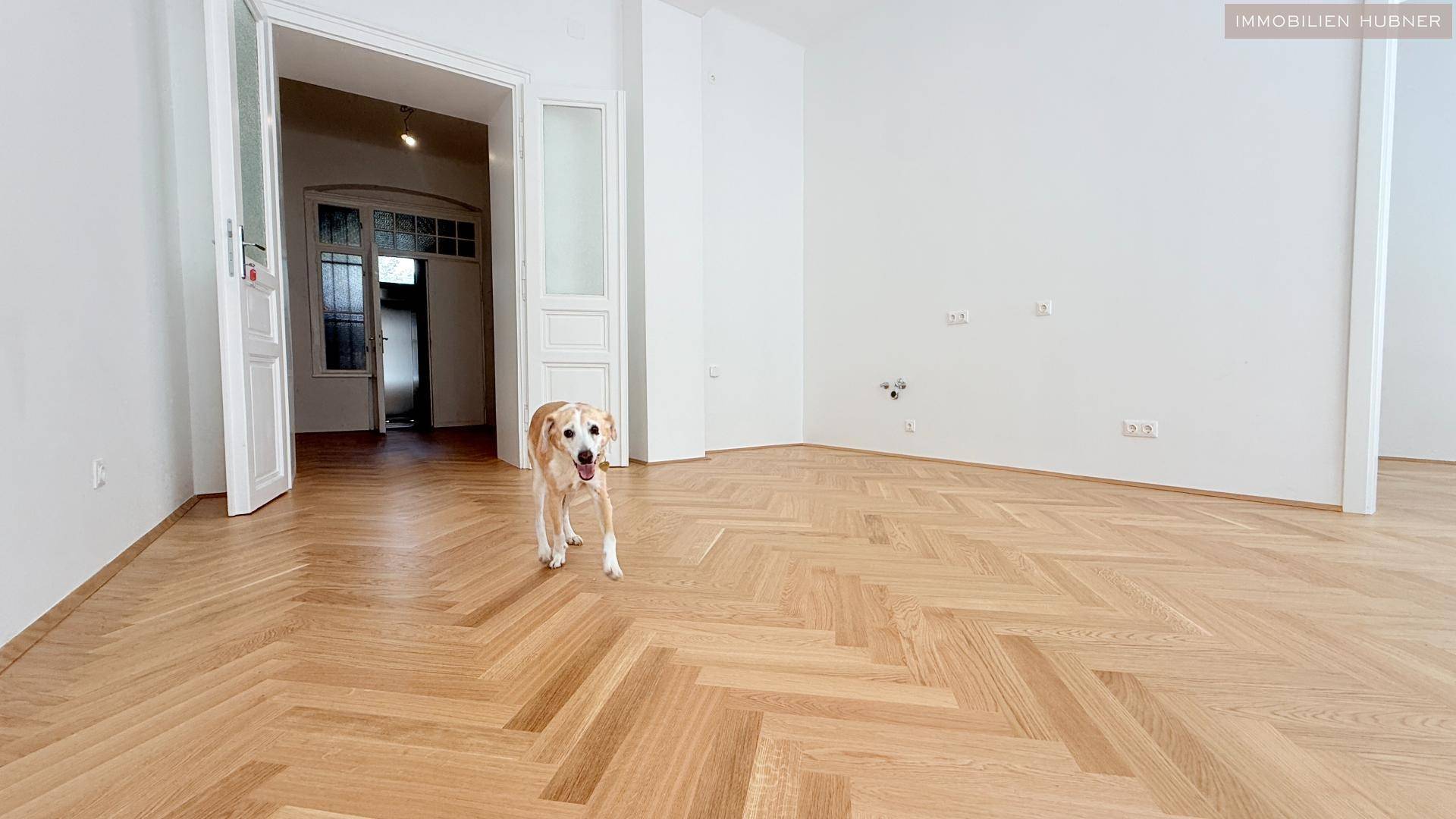 Geräumiges Zimmer mit Fischgrätparkett und hohen Decken, ideal für Haustiere und helle Wohnkonzepte.