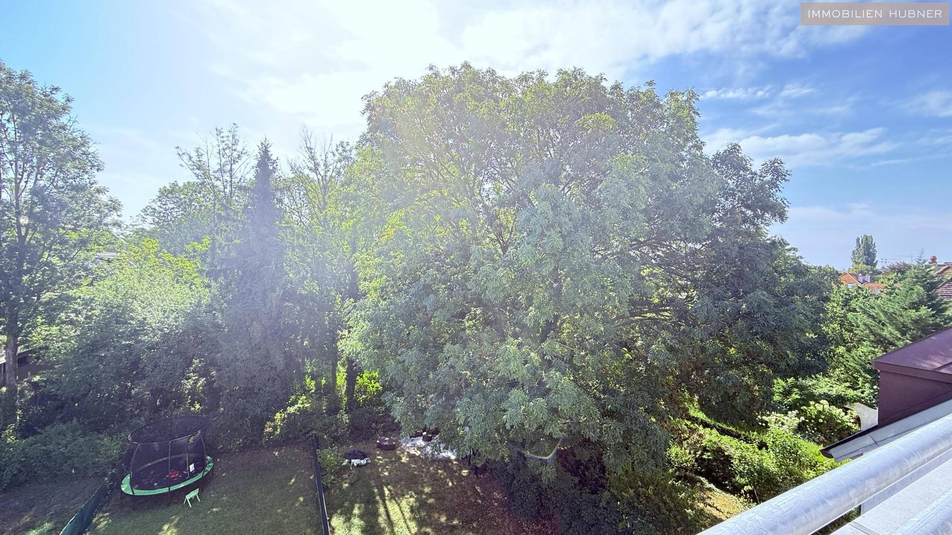 Weitläufiger Blick auf einen grünen Garten mit Trampolin und altem Baumbestand von oben.