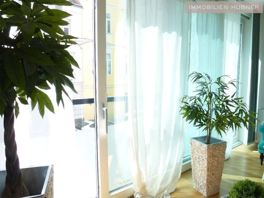 Große Fensterfront mit viel Tageslicht und Blick nach draußen, umgeben von Zimmerpflanzen.