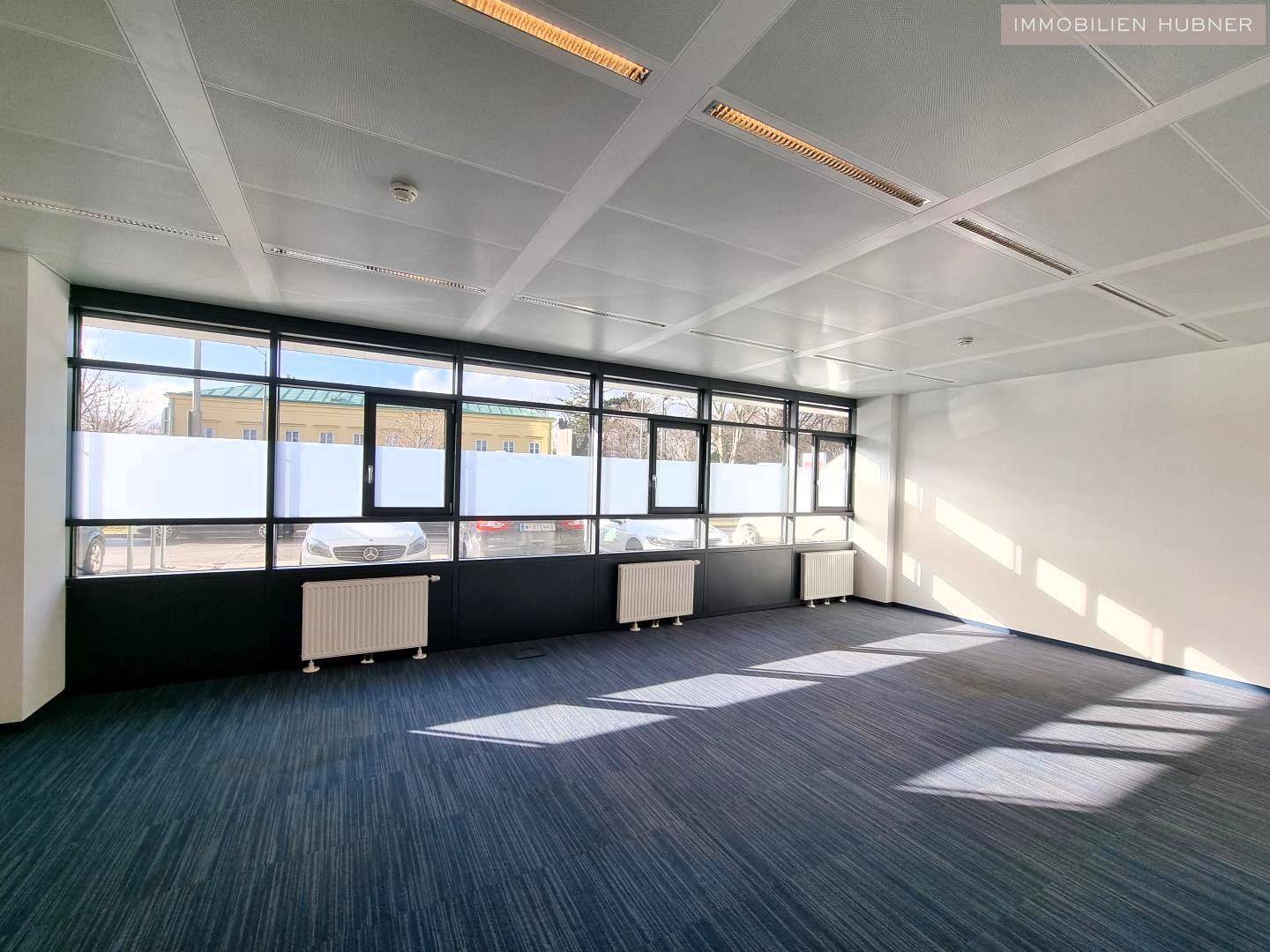 Geräumiges, leeres Büro mit blauem Teppichboden, großen Fenstern und Heizkörpern.