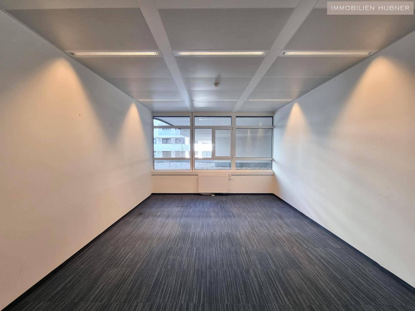 Helles, leeres Büro mit blauem Teppichboden, großen Fenstern und Heizkörpern.