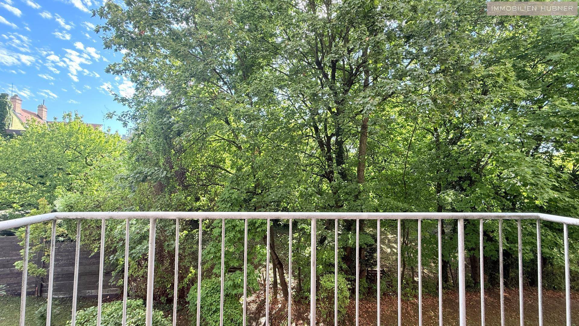 Blick vom Balkon ins Grüne mit vielen Bäumen und üppiger Vegetation.