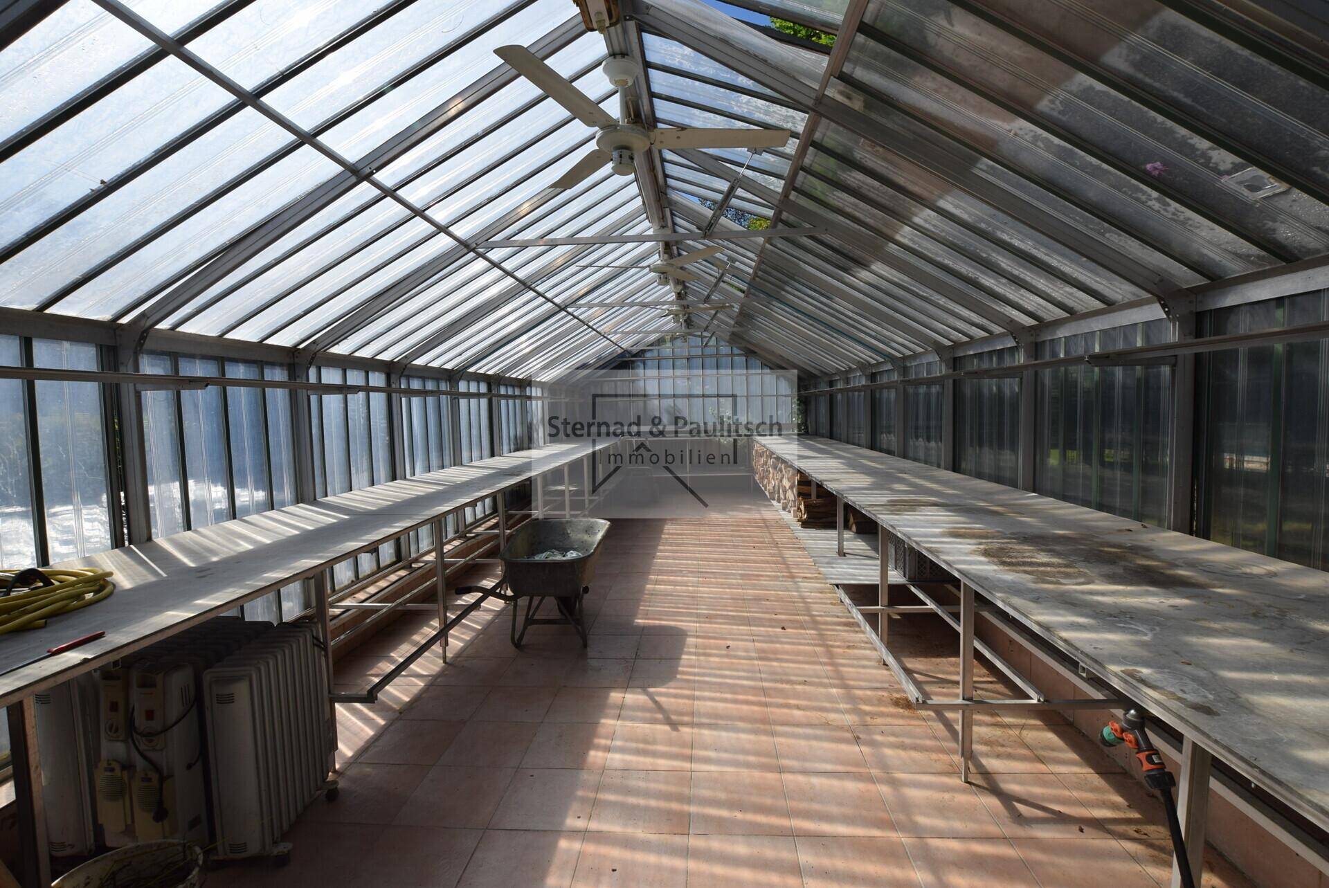 Innenansicht des geräumigen Gewächshauses mit Arbeitsflächen und Deckenventilatoren.