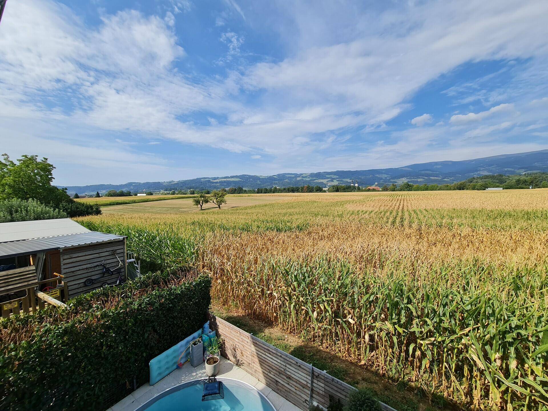 Weitläufiger Ausblick über Felder und einen kleinen Poolbereich, umgeben von Natur.