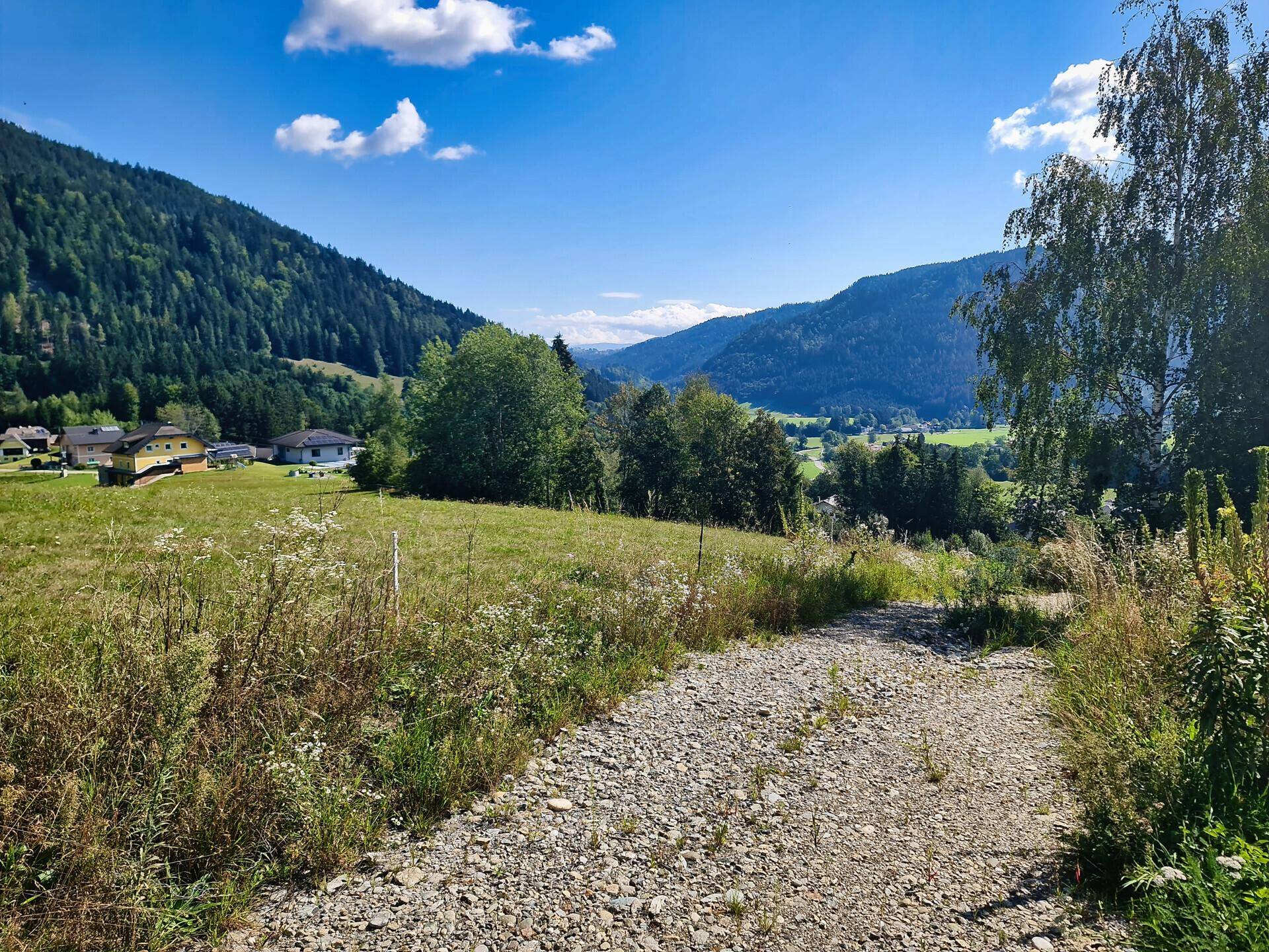 Schotterweg führt durch eine grüne Wiese mit Häusern und bewaldeten Bergen im Hintergrund unter blauem Himmel.