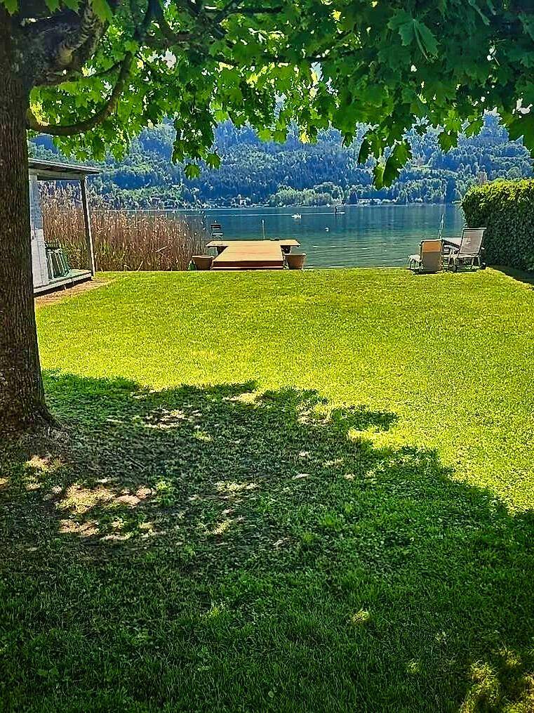 Gepflegter Rasenbereich mit schattenspendendem Baum und Blick auf den See und die Berge.