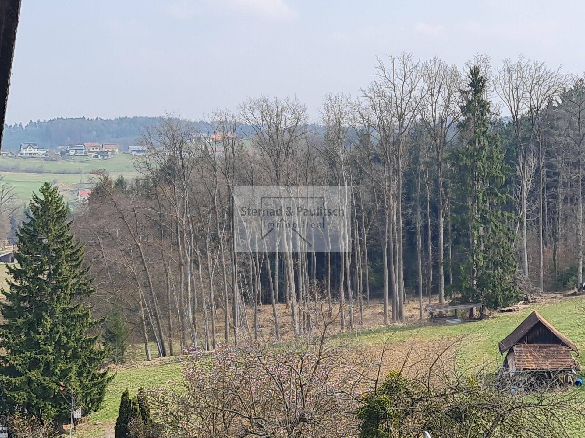 Panoramablick auf einen Waldrand und grüne Felder unter blauem Himmel.