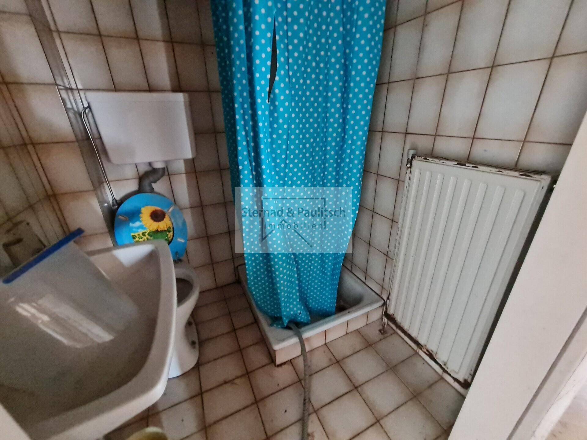 Kleines Badezimmer mit Dusche, WC und Waschbecken, gefliest und in älterem Zustand.