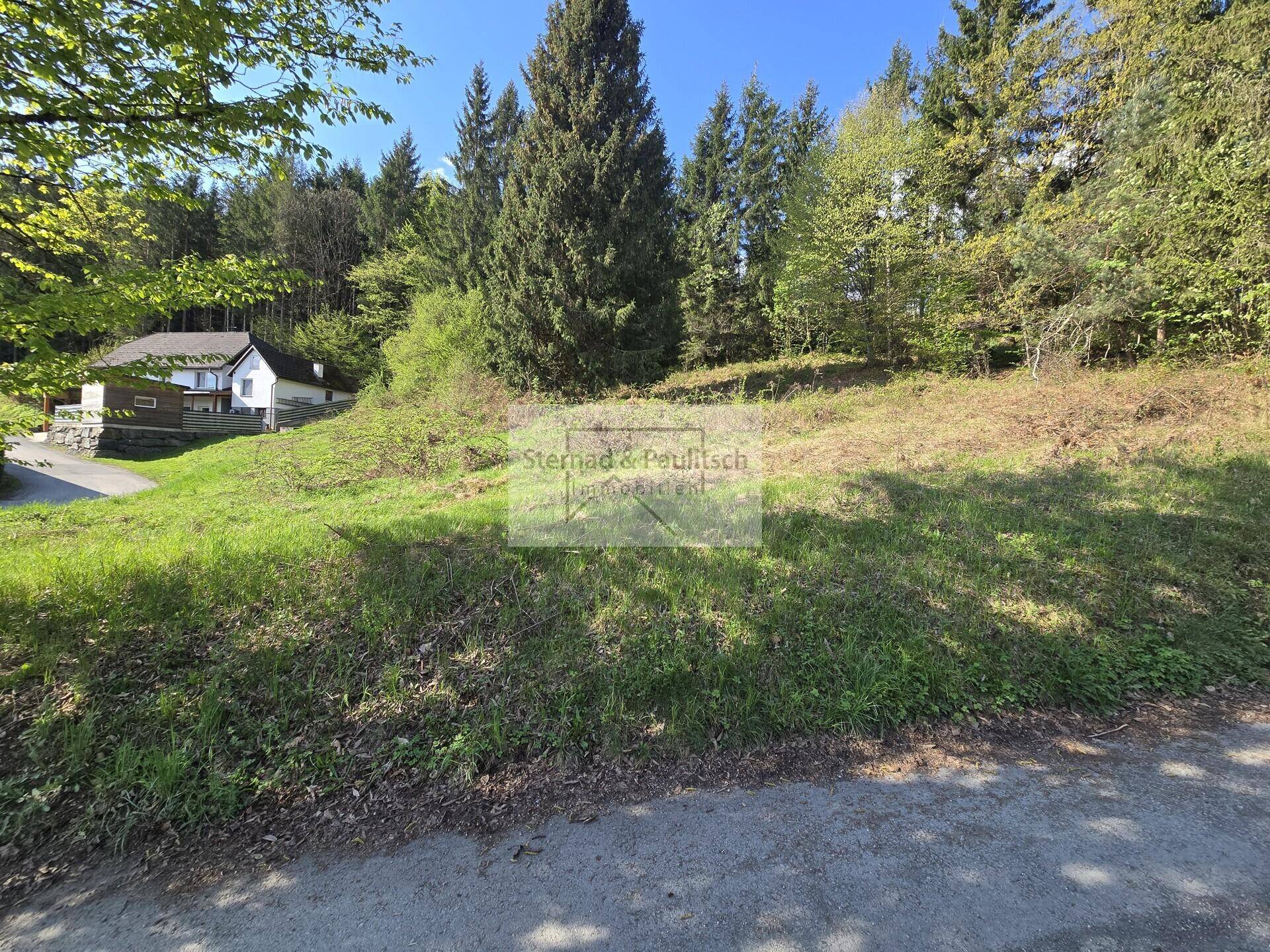 Sonniger Grashang mit Waldrand im Hintergrund und einem Wohnhaus in der Ferne.