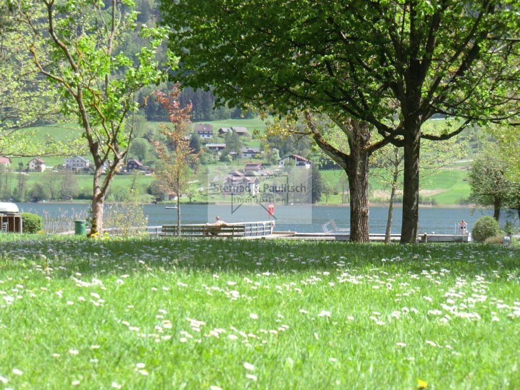 Malerische Landschaft mit blühender Wiese und ruhigem See im Hintergrund.