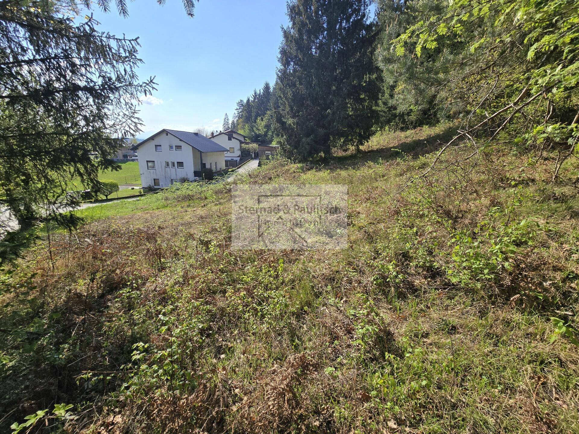 Naturbelassener Hang mit Bäumen und einem Wohnhaus im Hintergrund unter blauem Himmel.