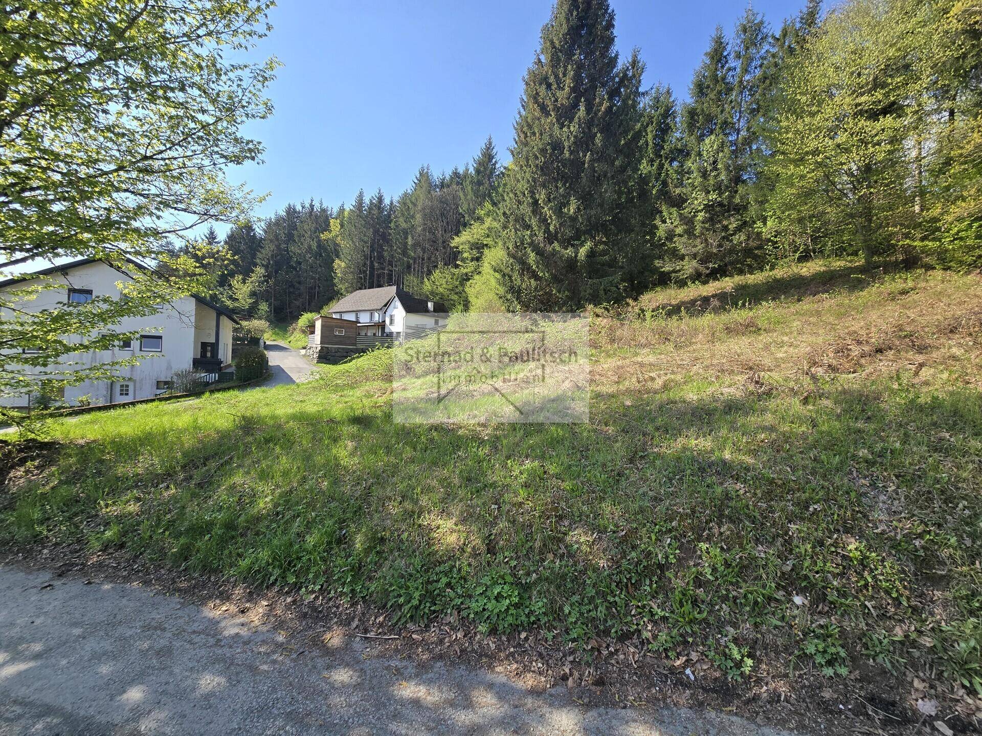 Idyllische Hanglage mit üppigem Grün, hohen Bäumen und einem Haus am Waldrand.