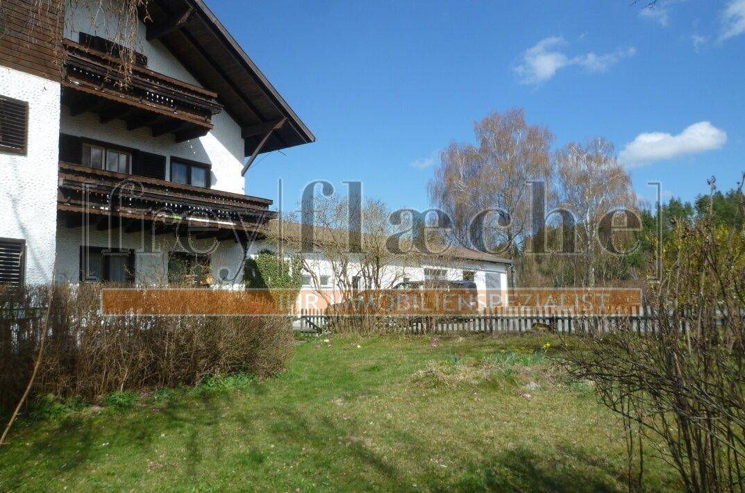 Großer Gartenbereich mit Rasenfläche und Sträuchern, angrenzend an das Wohnhaus.