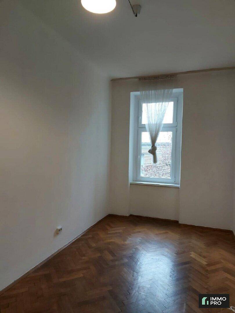 zimmer1