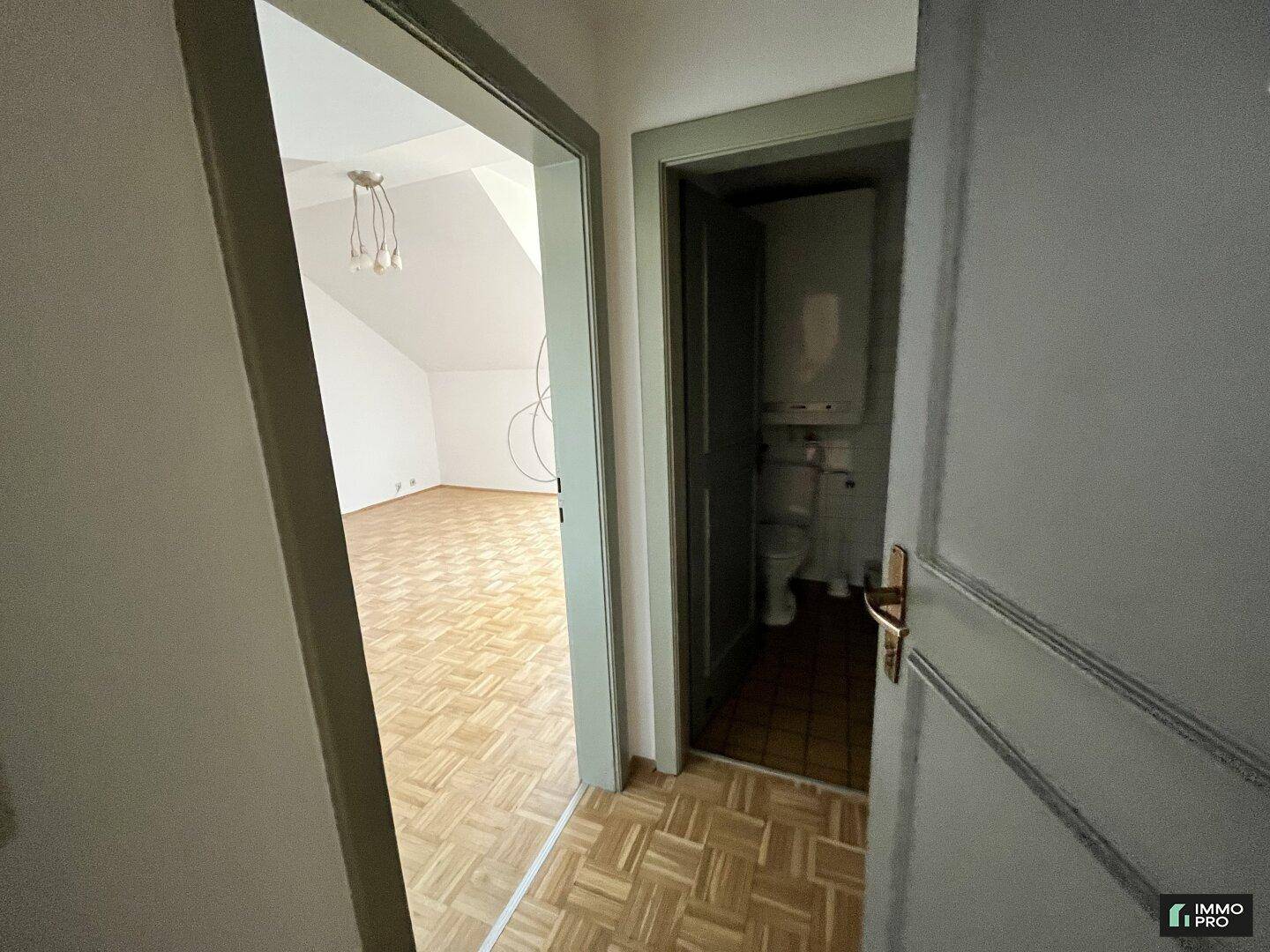 Flur mit Blick in den Wohnbereich und das Badezimmer, ausgestattet mit Parkettboden.