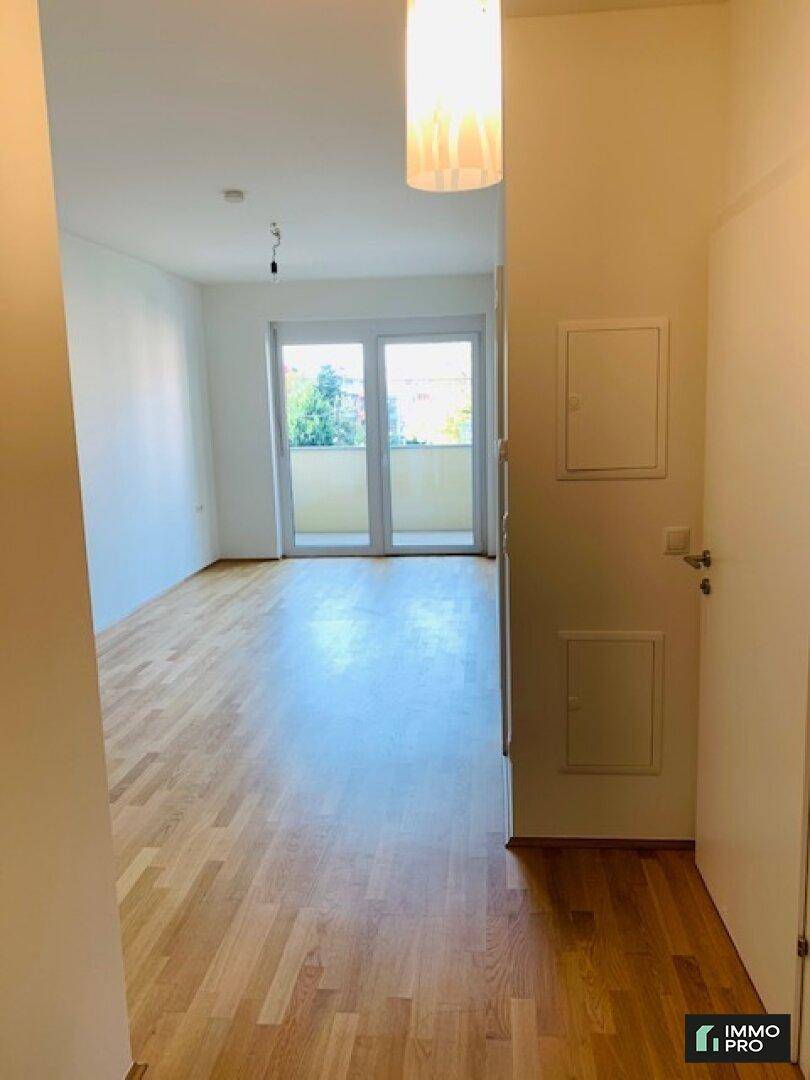 Heller Flur mit Parkettboden, der in ein weiteres Zimmer mit Balkonzugang führt.