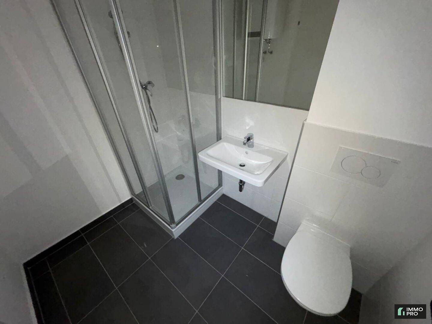 Kompaktes Badezimmer mit Duschkabine, Waschbecken und Toilette, alles in dunklen Fliesen.