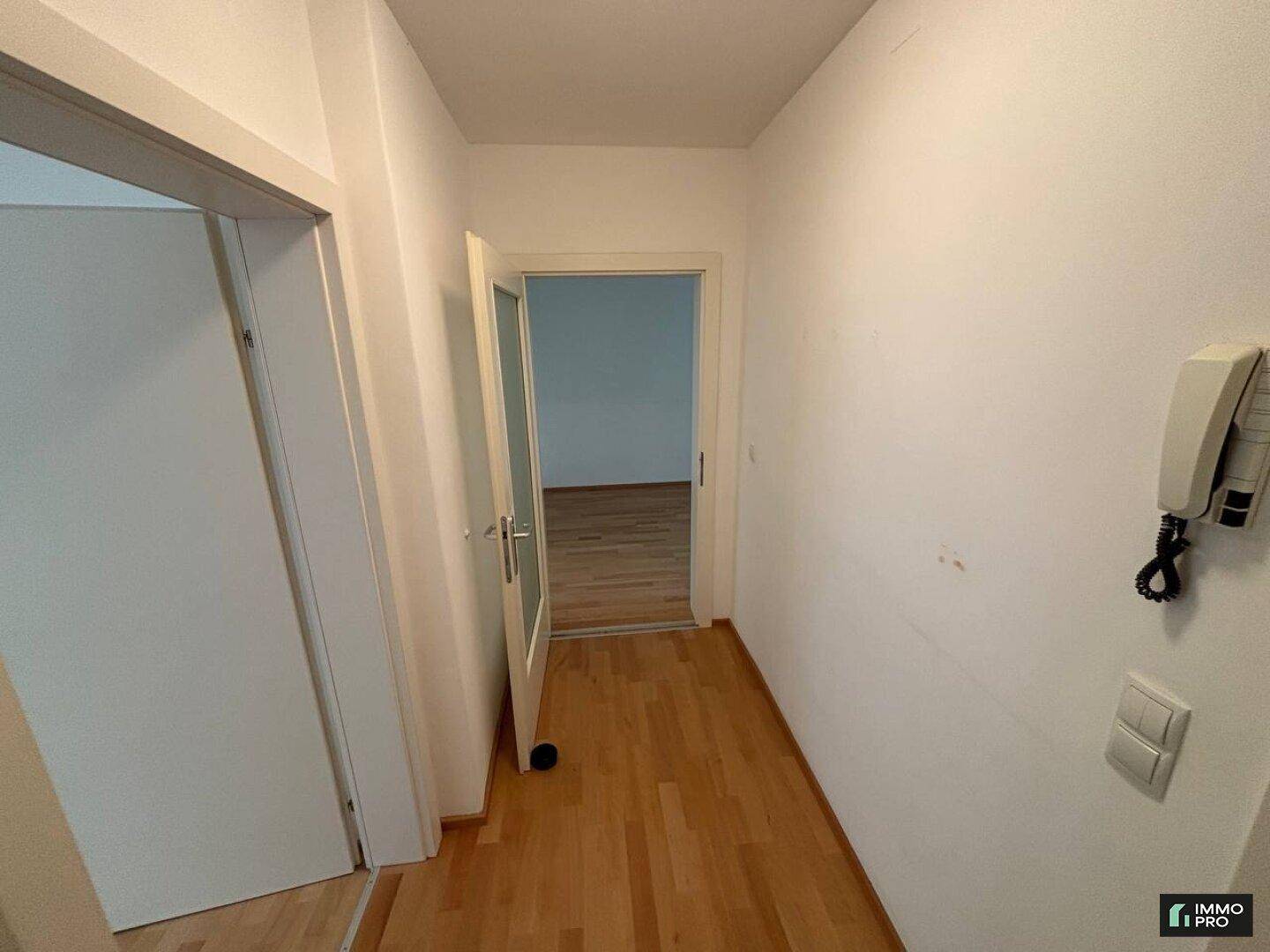 Heller Flur mit Holzfußboden und Türen, die zu anderen Räumen führen.