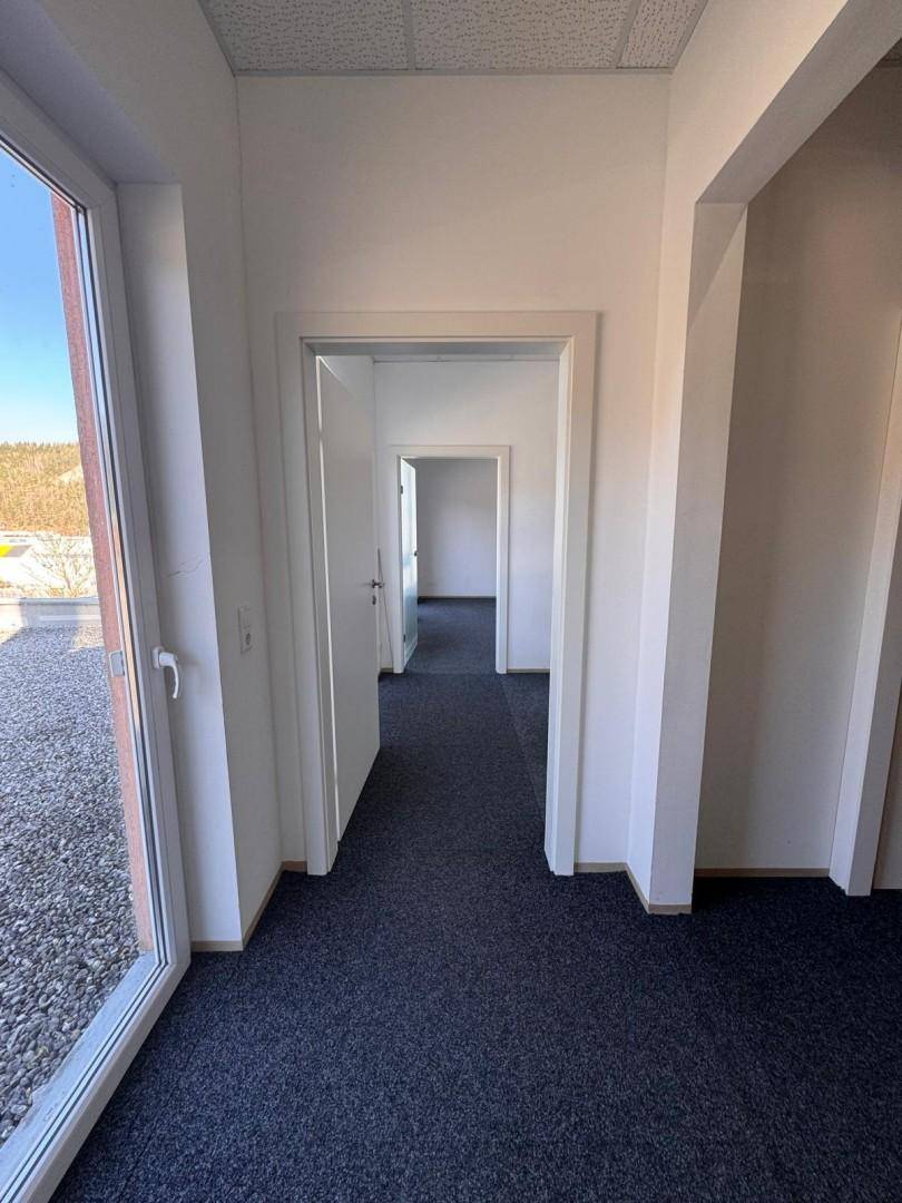 Heller Flur mit Teppichboden, weißen Wänden und mehreren Türen zu angrenzenden Räumen.