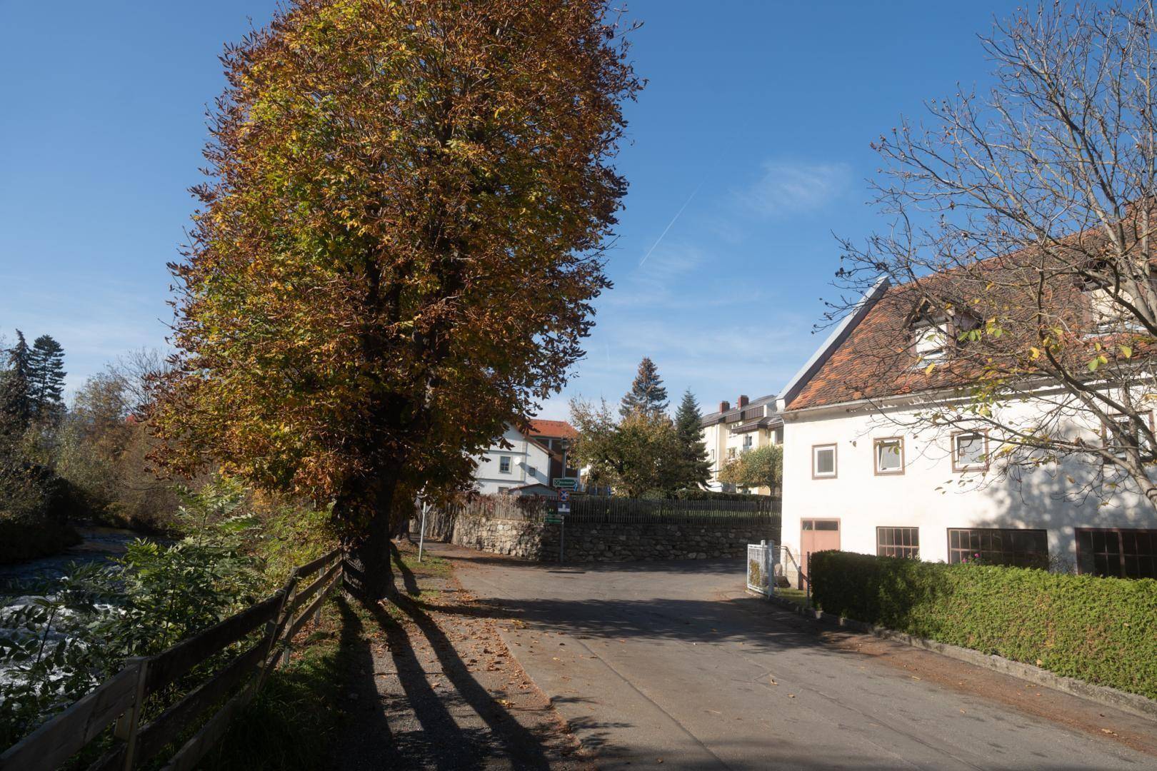 Ländliche Straße mit einem Gebäude, einem großen Baum und einem Fluss im Hintergrund.