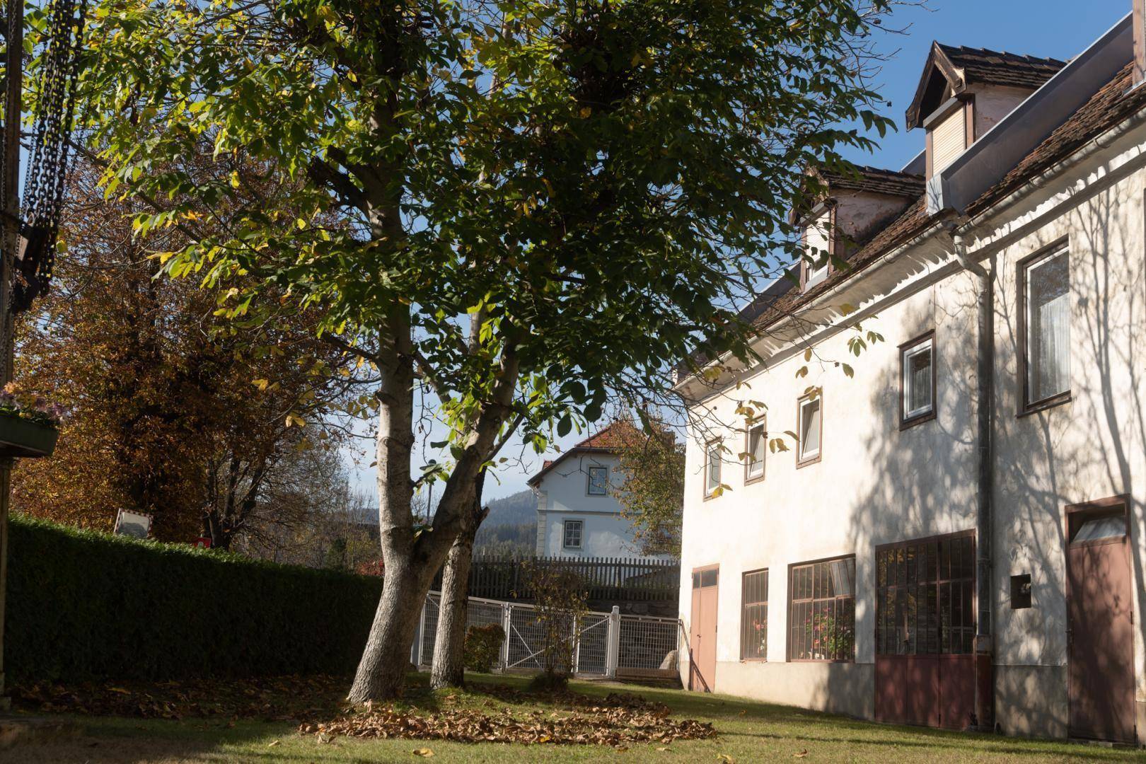 Großer Baum im Garten vor einem älteren Gebäude mit vielen Fenstern und Herbstlaub.