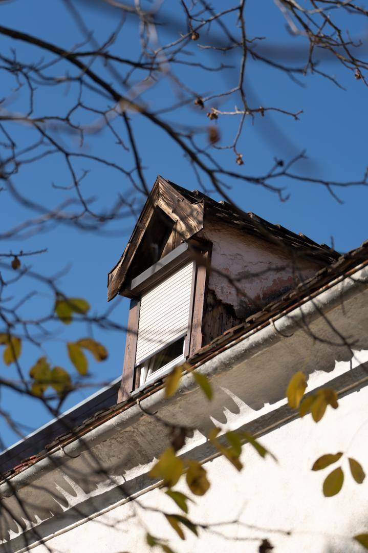 Dachgaube mit Rollladen und sichtbaren Holzelementen unter blauem Himmel und Herbstlaub.