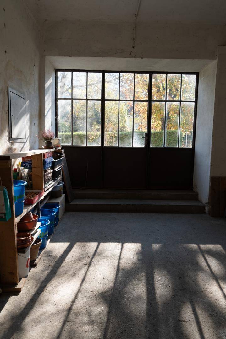 Große Fenstertüren mit Blick auf Bäume und Garten, die viel Licht spenden und Schatten werfen.