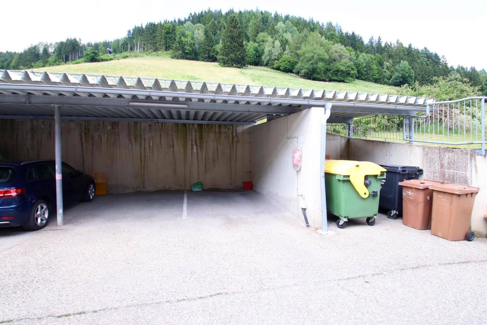 Überdachter Stellplatz für Fahrzeuge mit Mülltonnenbereich und Blick auf einen bewaldeten Hügel.