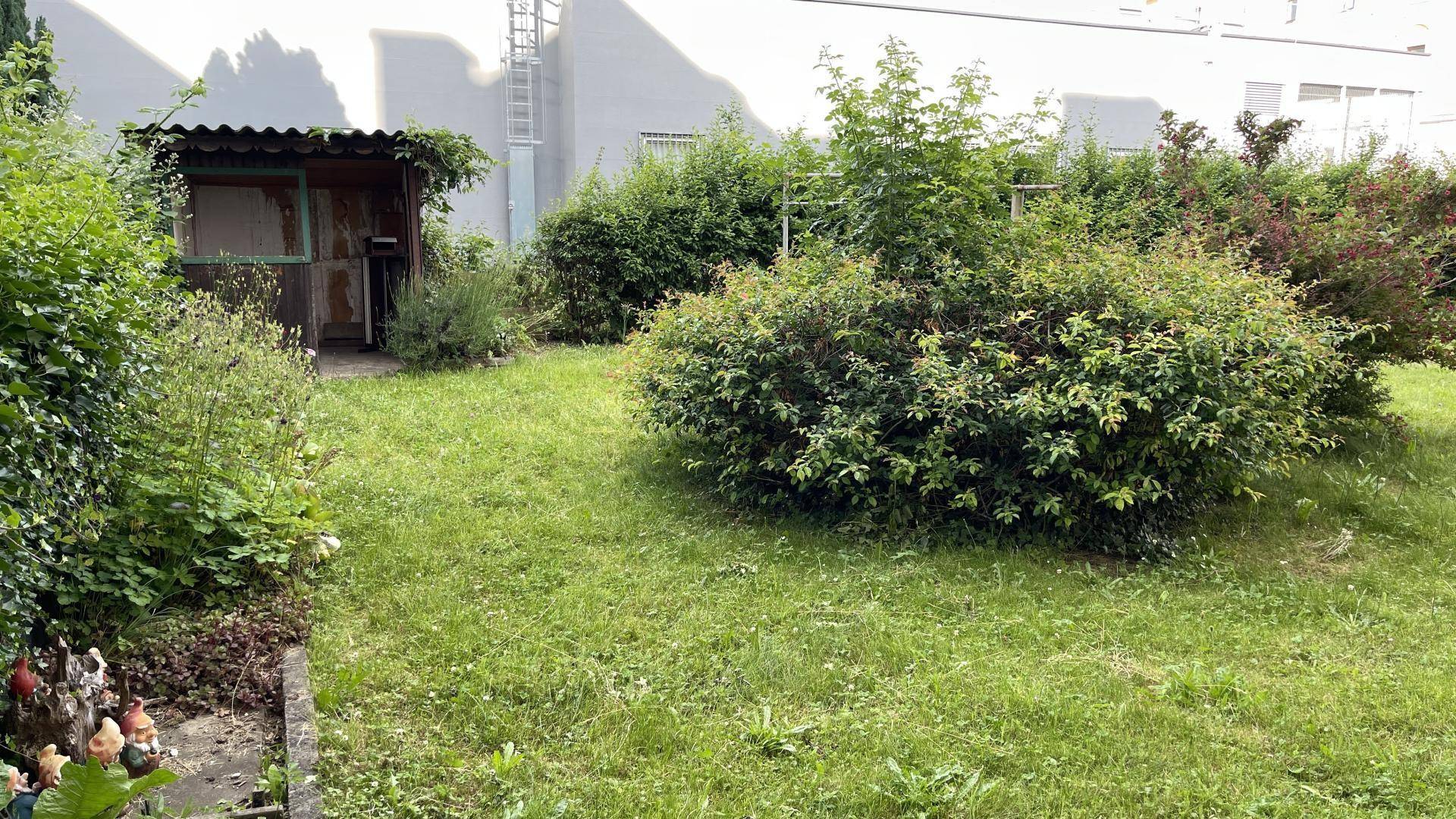 Grüner Gartenbereich mit Rasenfläche, Sträuchern, einem kleinen Schuppen und Gartenzwergen.