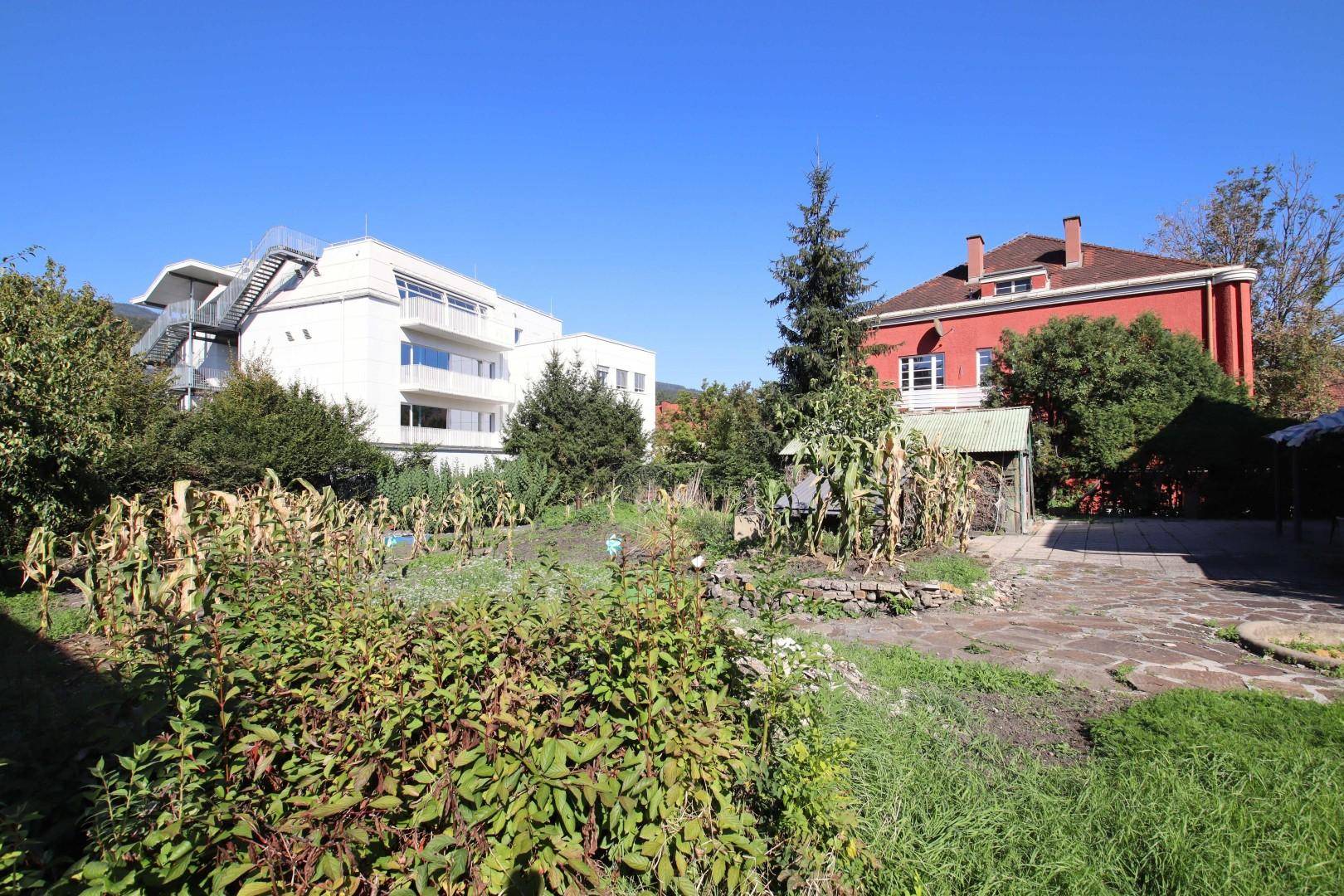 J13_IMS_Garten