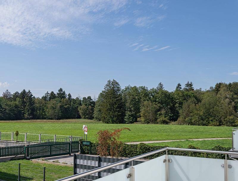HP8-Doppelhaushälfte-Langwied-Ausblick
