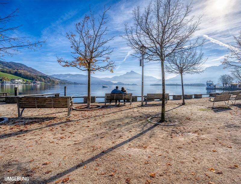 HP7-3-Zimmer-Wohnung-Mondsee-Seepromenade