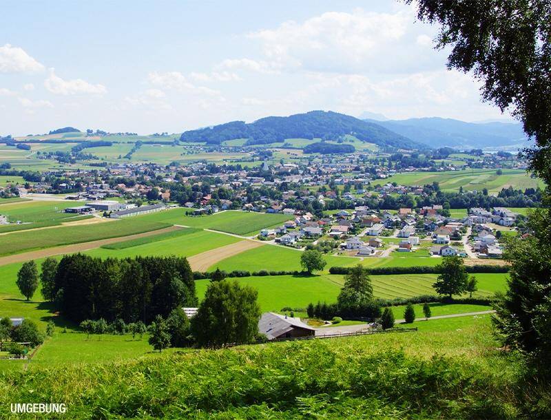 HP9-Einfamilienhaus-St Georgen im Attergau-Umgebung_