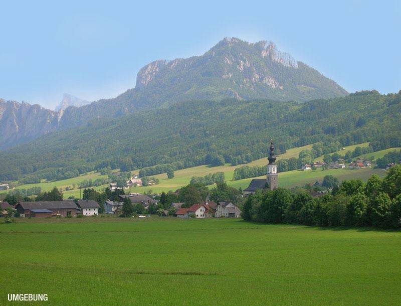 HP7-3-Zimmer-Wohnung-Thalgau-Umgebung