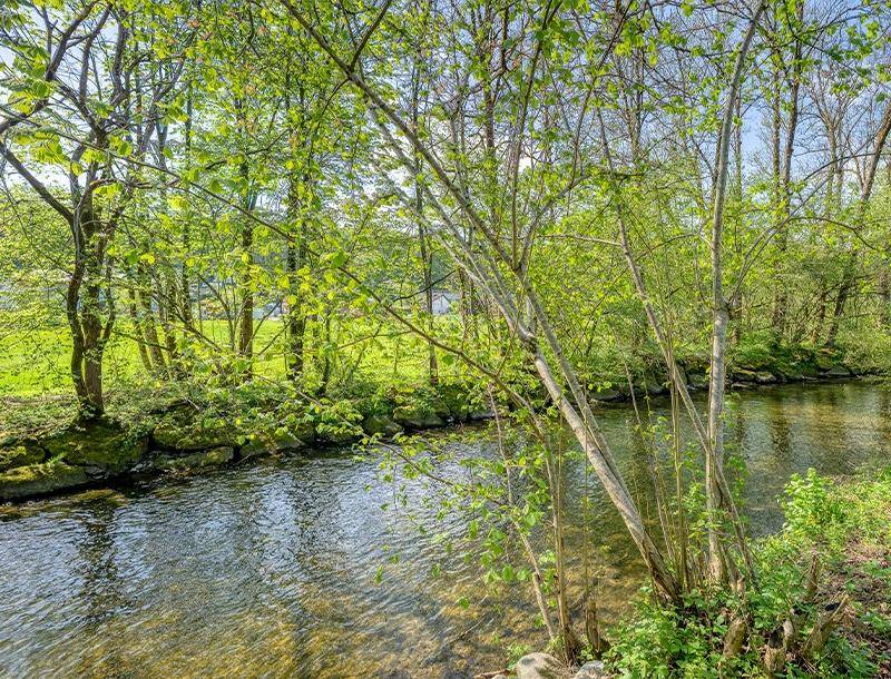 HP5-Grundstück-mit-Altbestand-Hallwang-Fischach